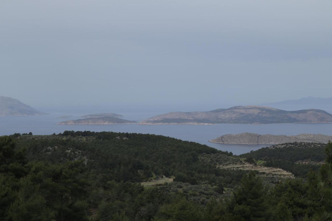 Echo Traditional House - Ηχώ Παραδοσιακό Σπίτι Embonas ภายนอก รูปภาพ