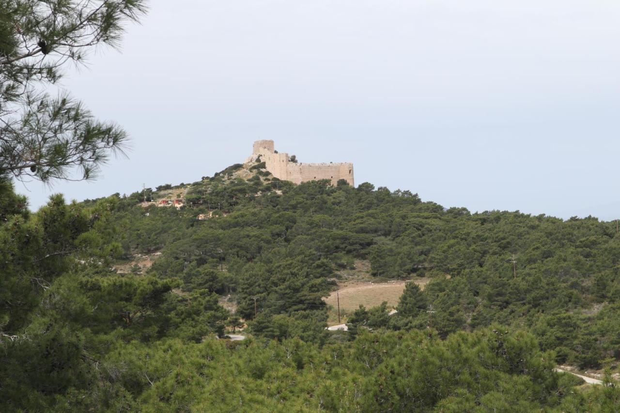 Echo Traditional House - Ηχώ Παραδοσιακό Σπίτι Embonas ภายนอก รูปภาพ